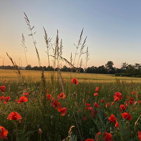 Ferienwohnungen In Der Alten Schnitterkaserne เพรนซ์เลา ภายนอก รูปภาพ