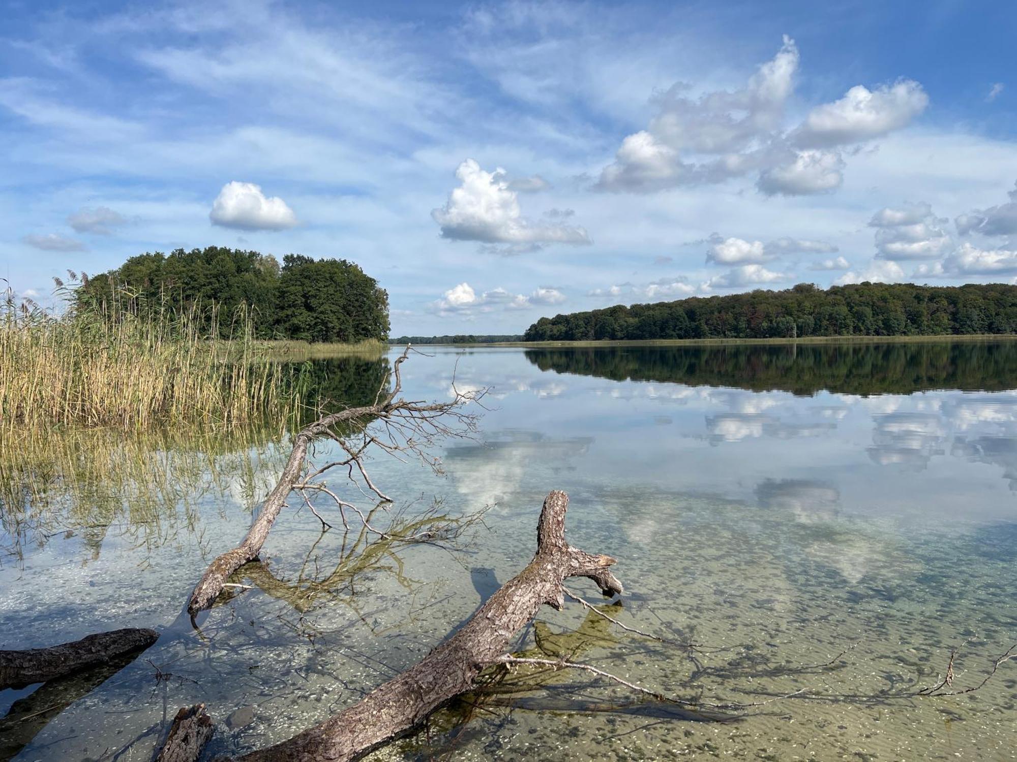 Ferienwohnungen In Der Alten Schnitterkaserne เพรนซ์เลา ภายนอก รูปภาพ